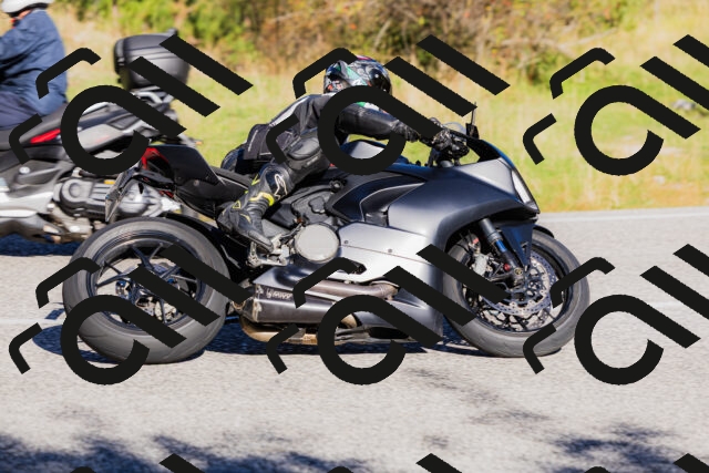 202509201014-_04A9957_c3