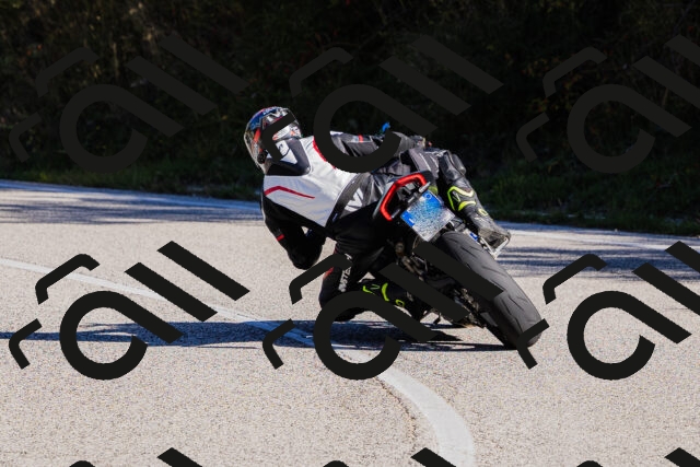 202509201014-_04A9962_c3