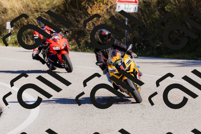 202509201019-_04A0003_c3