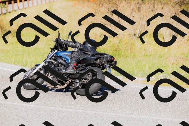 202509201019-_04A9984_c3