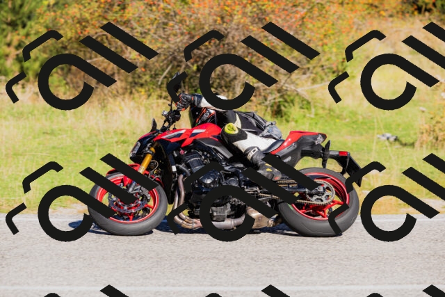 202509201019-_04A9995_c3