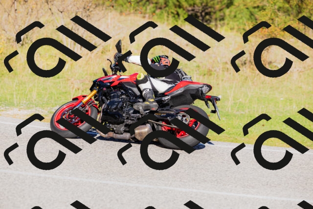 202509201019-_04A9996_c3