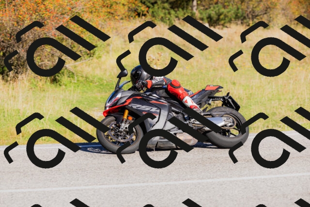 202509201021-_04A0022_c3