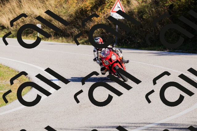 202509201022-_04A0030_c3