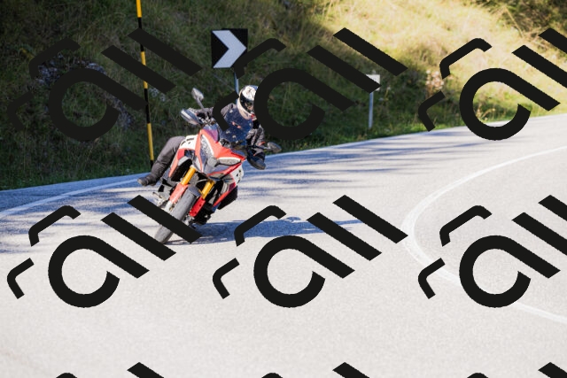 202509201025-_04A0049_c3