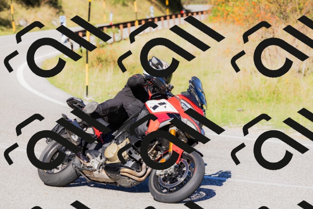 202509201025-_04A0052_c3