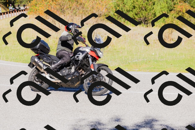 202509201025-_04A0058_c3