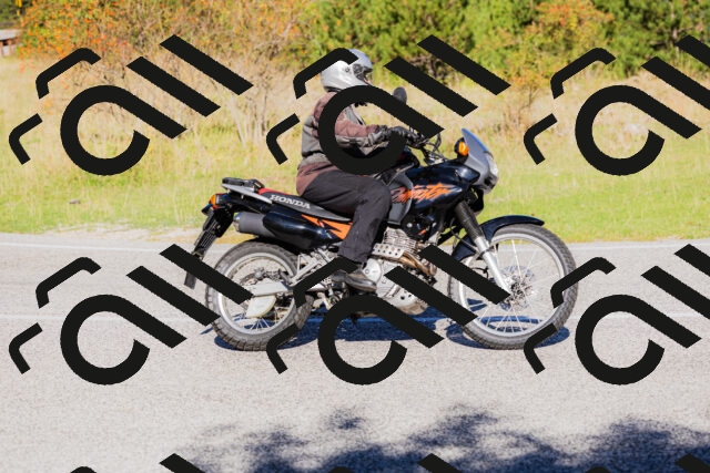 202509201026-_04A0088_c3