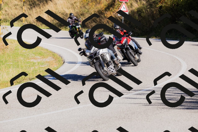 202509201027-_04A0092_c3