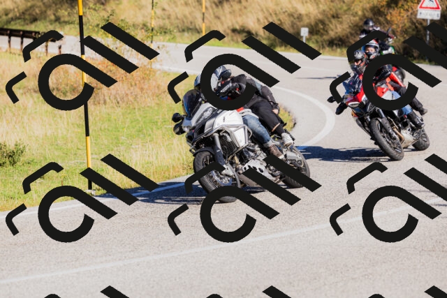 202509201027-_04A0093_c3