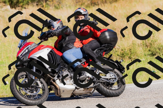 202509201027-_04A0095_c3