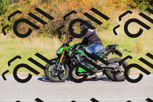 202509201027-_04A0098_c3