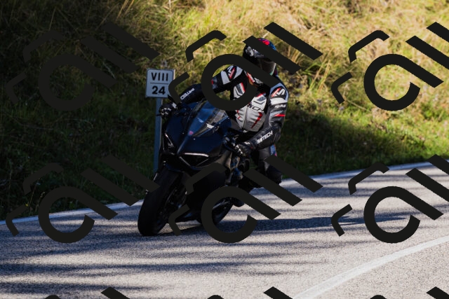 202509201029-_04A0113_c3