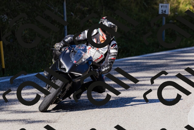 202509201029-_04A0115_c3