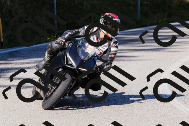 202509201029-_04A0116_c3