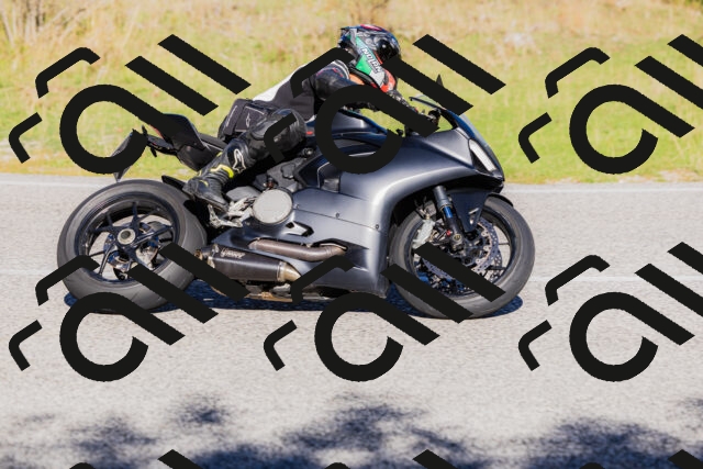 202509201029-_04A0119_c3