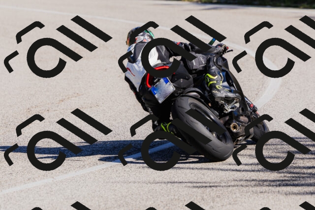 202509201029-_04A0122_c3