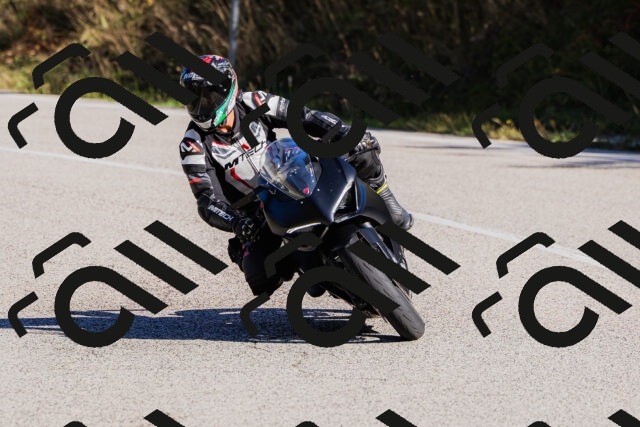 202509201030-_04A0127_c3