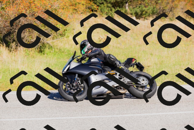 202509201030-_04A0131_c3