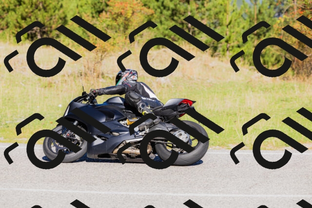 202509201030-_04A0132_c3