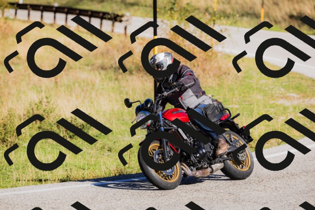 202509201031-_04A0140_c3