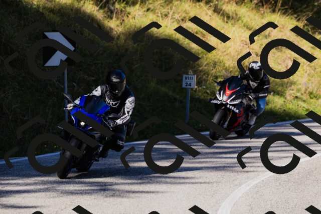 202509201032-_04A0148_c3