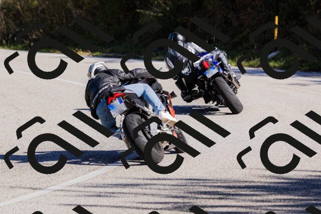 202509201032-_04A0159_c3