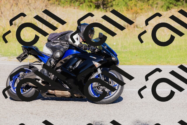 202509201032-_04A0161_c3