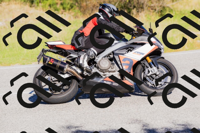 202509201032-_04A0166_c3