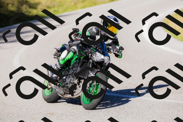 202509201032-_04A0167_c3