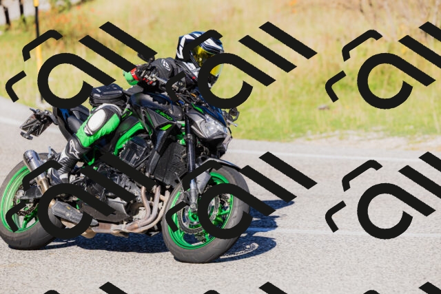 202509201032-_04A0168_c3