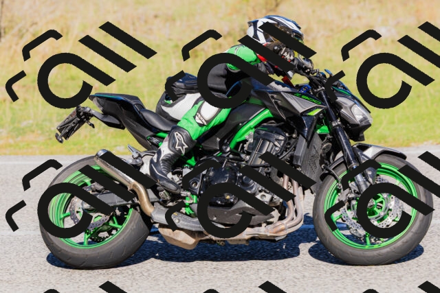 202509201032-_04A0169_c3