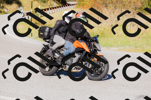 202509201032-_04A0172_c3