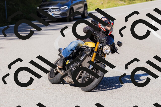 202509201034-_04A0178_c3