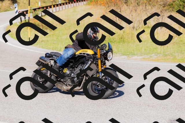 202509201034-_04A0179_c3