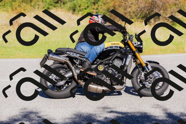 202509201034-_04A0180_c3