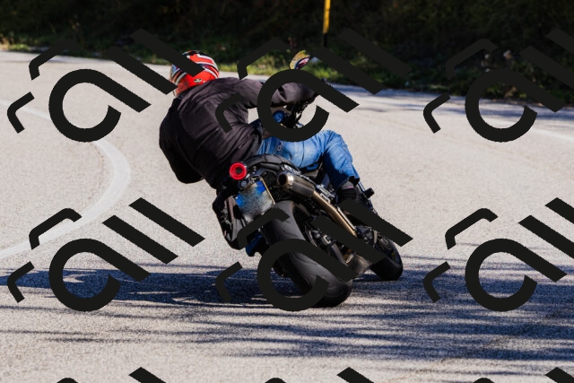 202509201034-_04A0183_c3