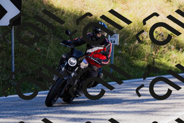 202509201035-_04A0191_c3