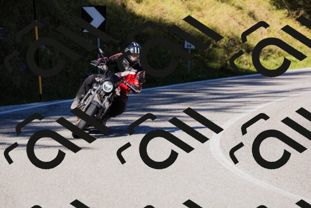 202509201035-_04A0192_c3