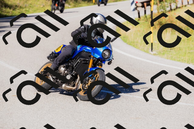 202509201035-_04A0199_c3