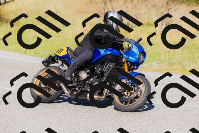 202509201035-_04A0200_c3