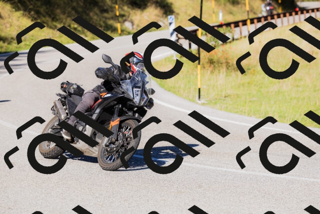 202509201035-_04A0202_c3