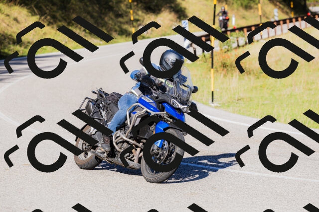 202509201035-_04A0203_c3