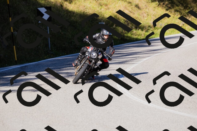 202509201035-_04A0204_c3