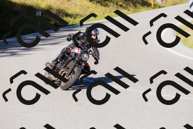 202509201035-_04A0205_c3