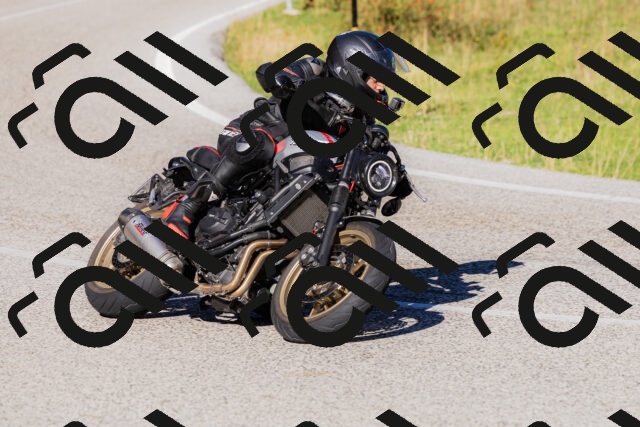 202509201035-_04A0206_c3