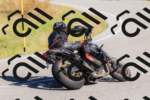 202509201035-_04A0209_c3