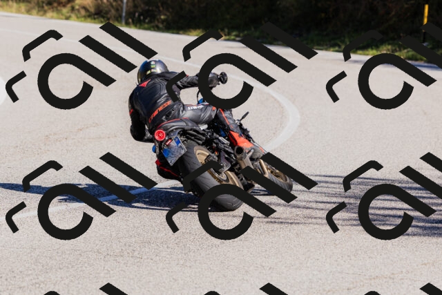 202509201035-_04A0210_c3