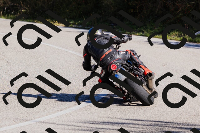 202509201035-_04A0211_c3