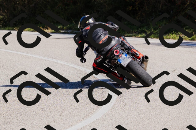 202509201035-_04A0212_c3